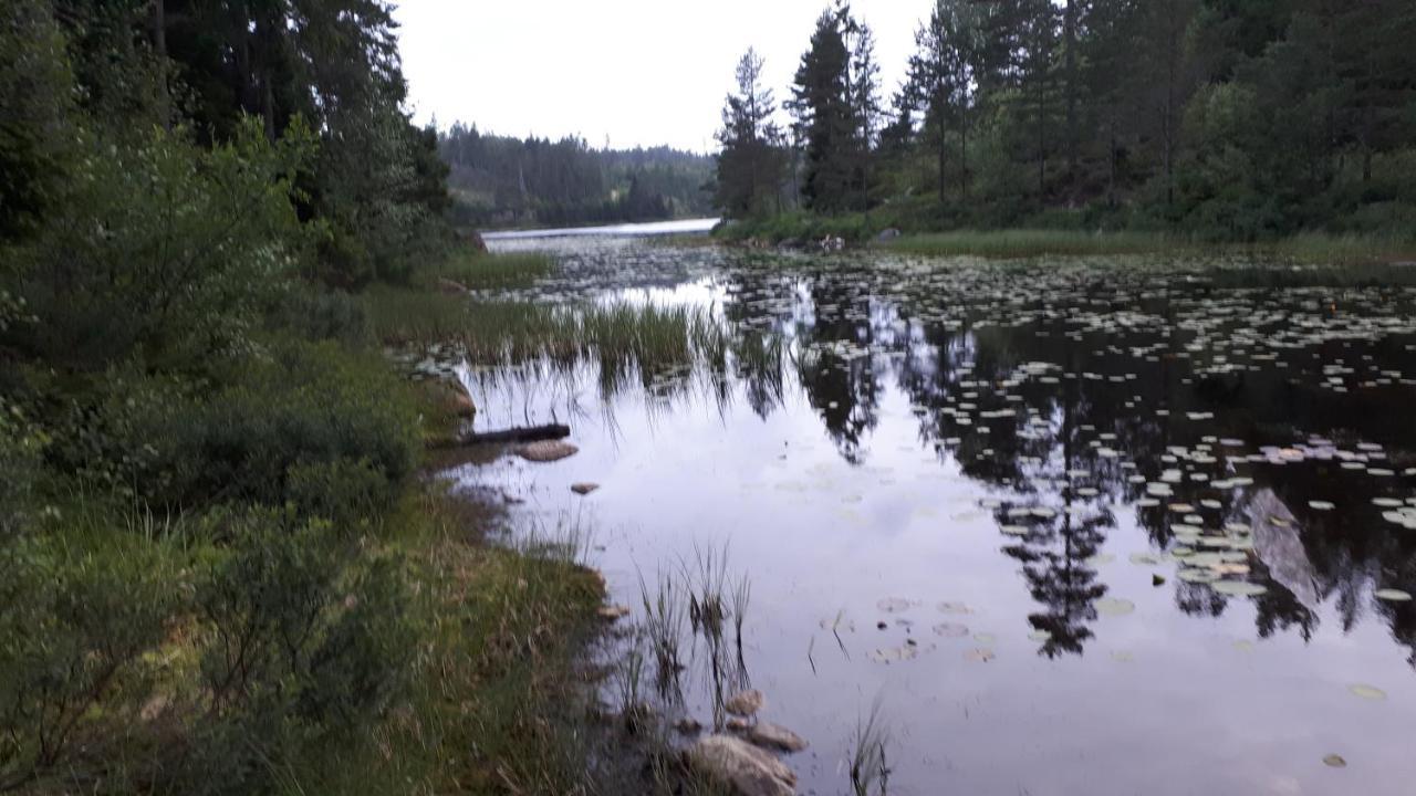 Granheim Hytte Med 2 Soverom Birkeland ภายนอก รูปภาพ
